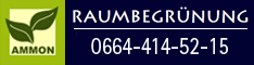 Werbung Ammon KG