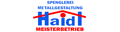 Logo Haidl