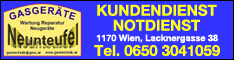 Neunteufel Johann - Gasgeräte - Kundendienst - Wien