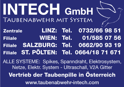 Vergrößern Werbung INTECH Bautenschutz GmbH Taubenabwehr