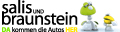 Logo Salis & Braunstein GesmbH Logo Salis & Braunstein GesmbH