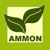 Logo Ammon KG Logo Ammon KG