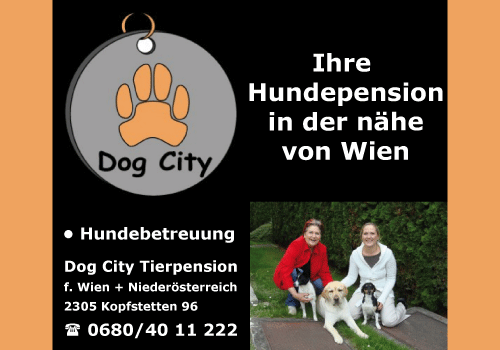 Werbung Dog City Tierpension f. Wien + Niederösterreich