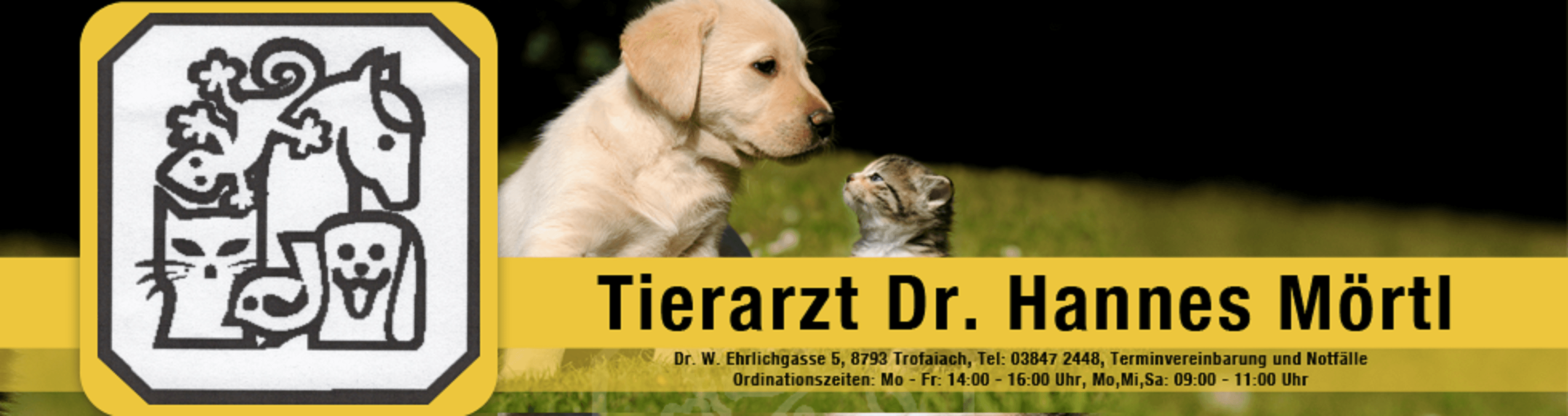 Vorschau - Foto 2 von Tierarztpraxis Trofaiach Dr. Mörtl & Mag. Frisch