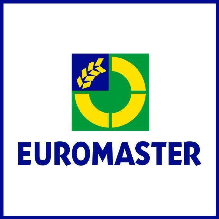 Logo Reifen Alfons e.U. EUROMASTER Franchise