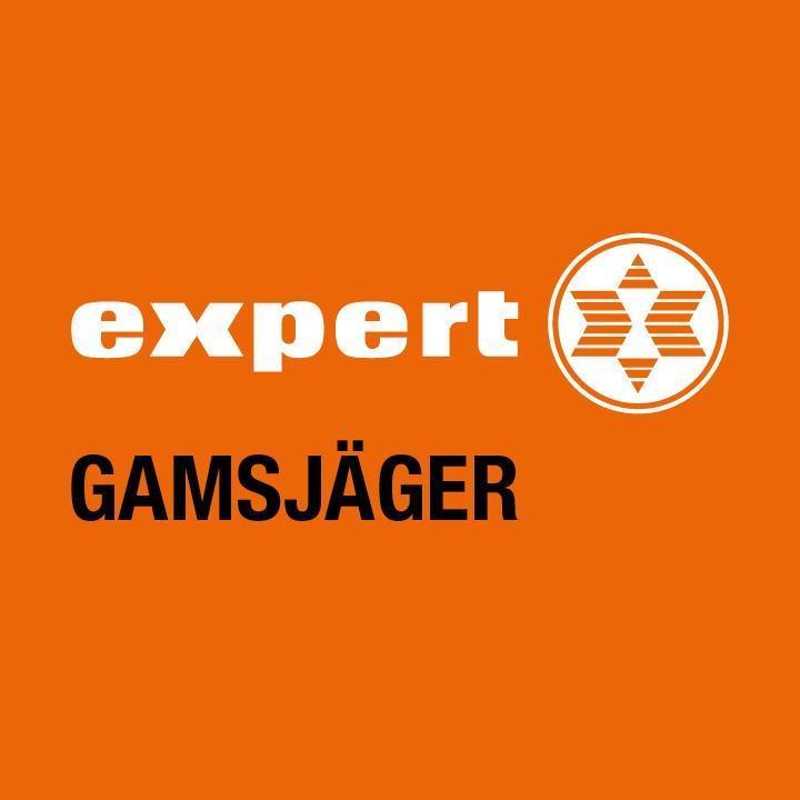 Logo Expert Gamsjäger Elektrotechnik