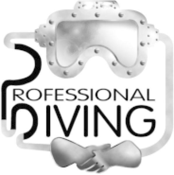 Vorschau - Foto 2 von Professional Diving