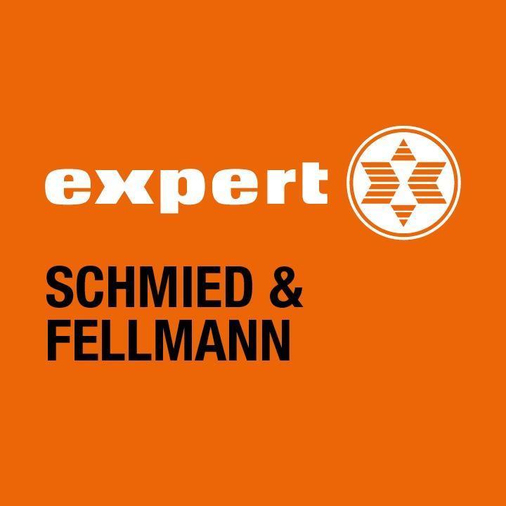Logo Expert Schmied & Fellmann