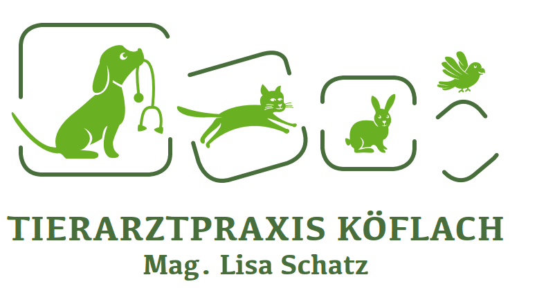 Vorschau - Foto 1 von Tierarztpraxis Köflach