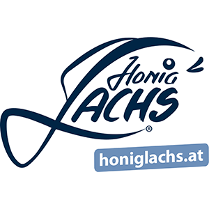 Logo HOCH-GEMIDEE GmbH