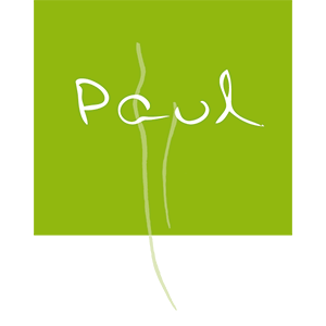 Logo Dr. Heidi Paul