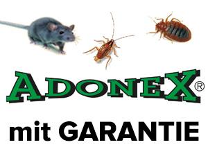 Logo ADONEX GmbH – Schädlingsbekämpfung