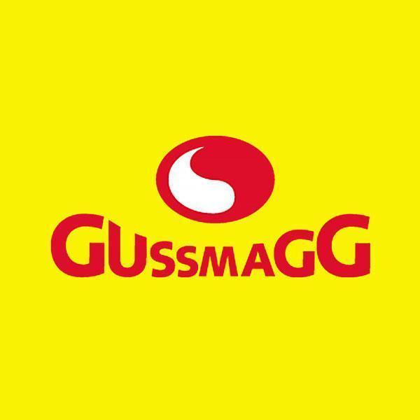 Logo GUSSMAGG GmbH