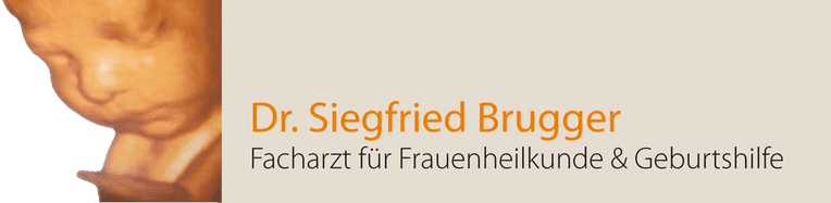 Logo Brugger Siegfried Dr.