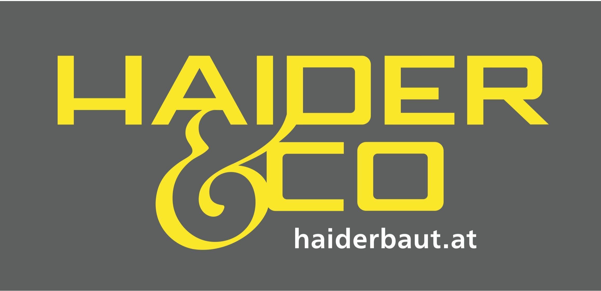 Logo Haider & Co