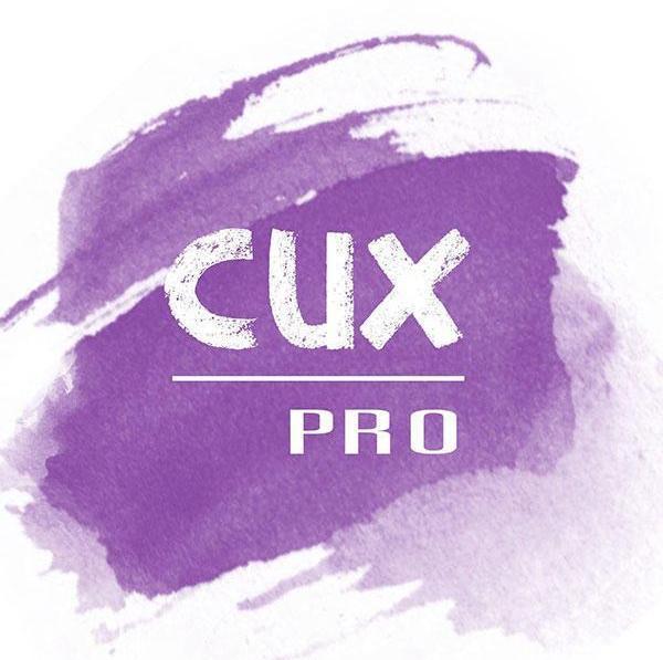 Logo CUXpro | Dipl.-Ing. Dr. Moser Christiane