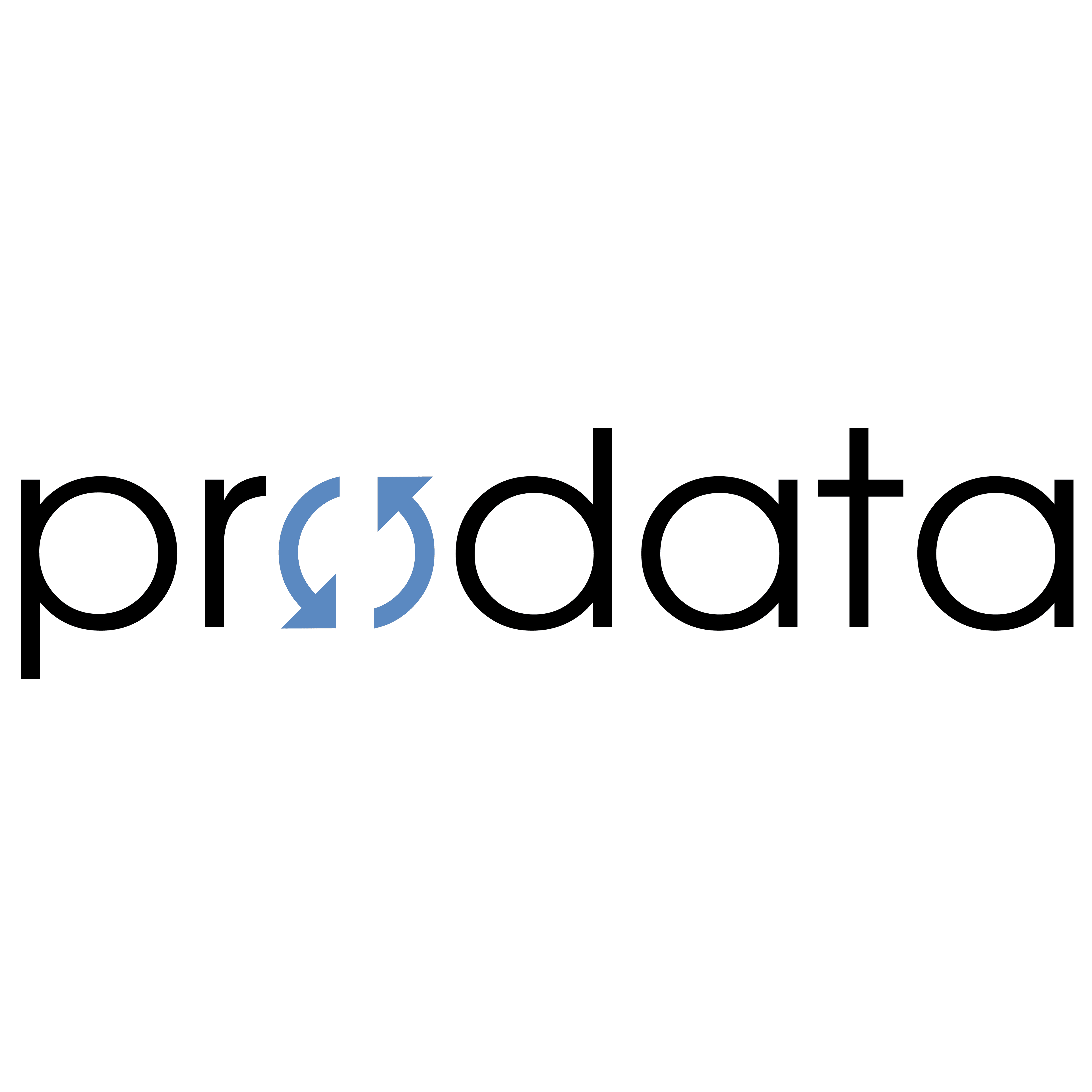 Logo prodata GmbH