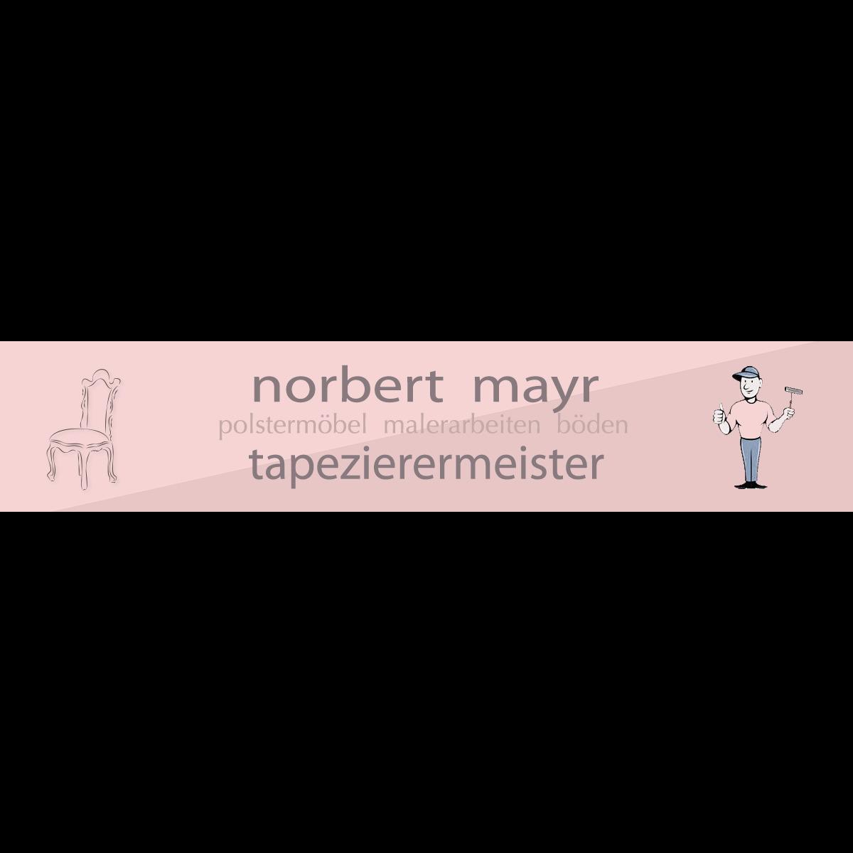 Logo Norbert Mayr