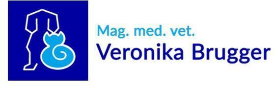 Logo Dipl-TA Veronika Brugger