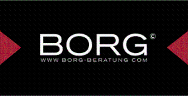 Logo Borg KG & Partner