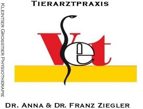 Logo Dipl-TA Dr. Franz Ziegler