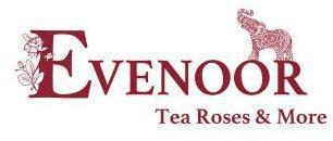 Logo EVENOOR Tea Roses & More