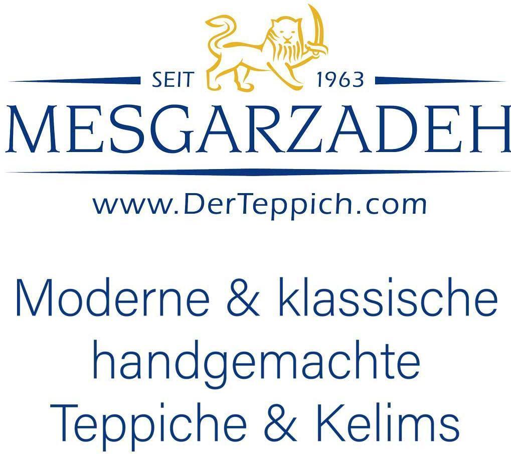 Logo Mesgarzadeh GesmbH