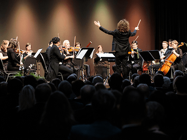 Vorschau - Foto 1 von Ambassade Orchester Wien