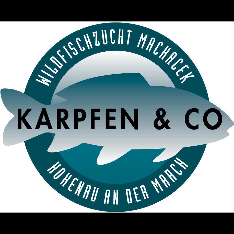 Logo Fischzucht Christian Machacek