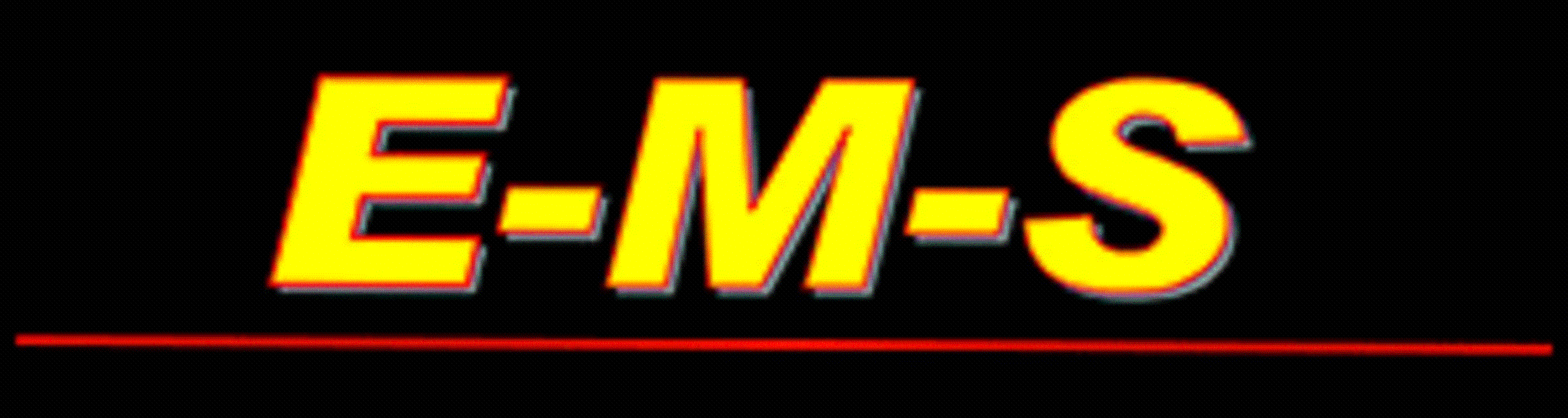 Logo E-M-S Entsorgung mit System GmbH