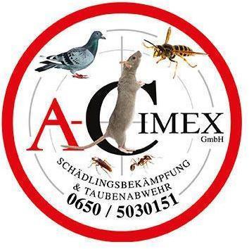 Logo A-Cimex GmbH Schädlingsbekämpfung & Taubenabwehr