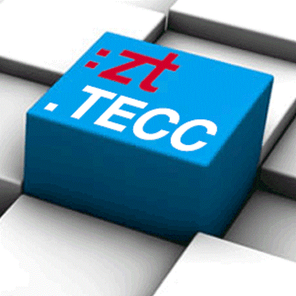 Logo TECC - ZT DI Herbert Teufel PhD