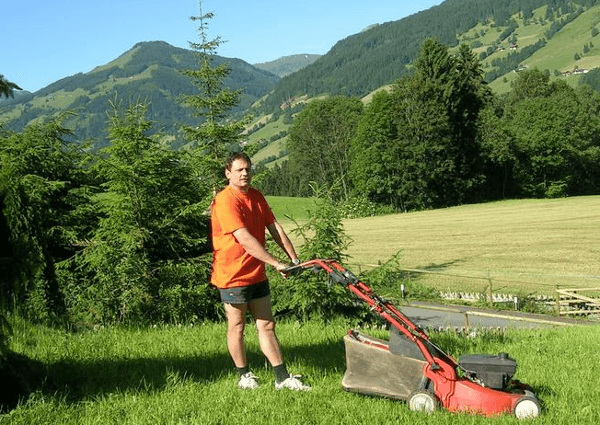 Vorschau - Foto 1 von Bolego - Hausbesorgung, Gartenbetreuung, Winterdienst