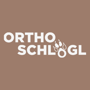 Logo Orthopädie & Schuhmachermeister Schlögl Robert