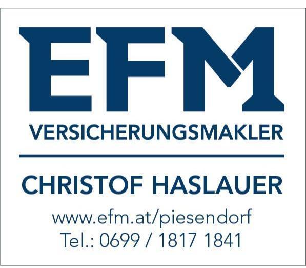 Logo EFM Piesendorf