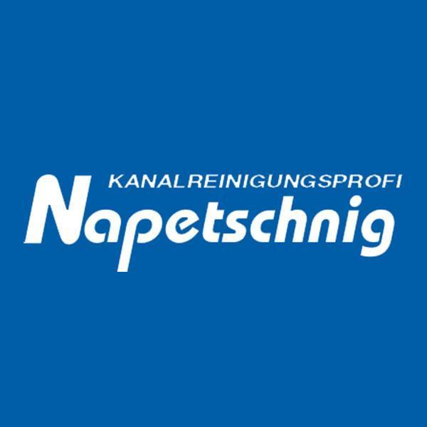 Logo Napetschnig Entsorgungs- u Transporte GesmbH & Co KG