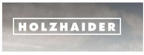 Logo Holzhaider Bau GmbH