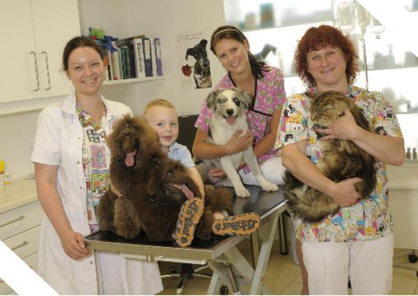 Vorschau - Foto 4 von Tierarztpraxis Palme