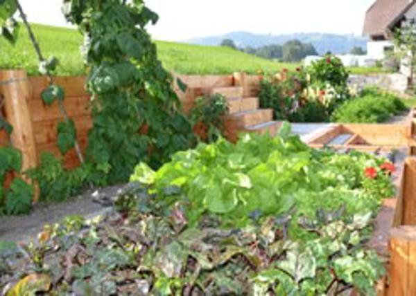 Vorschau - Foto 1 von Gartenmann GmbH Gartengestaltung und Pflege
