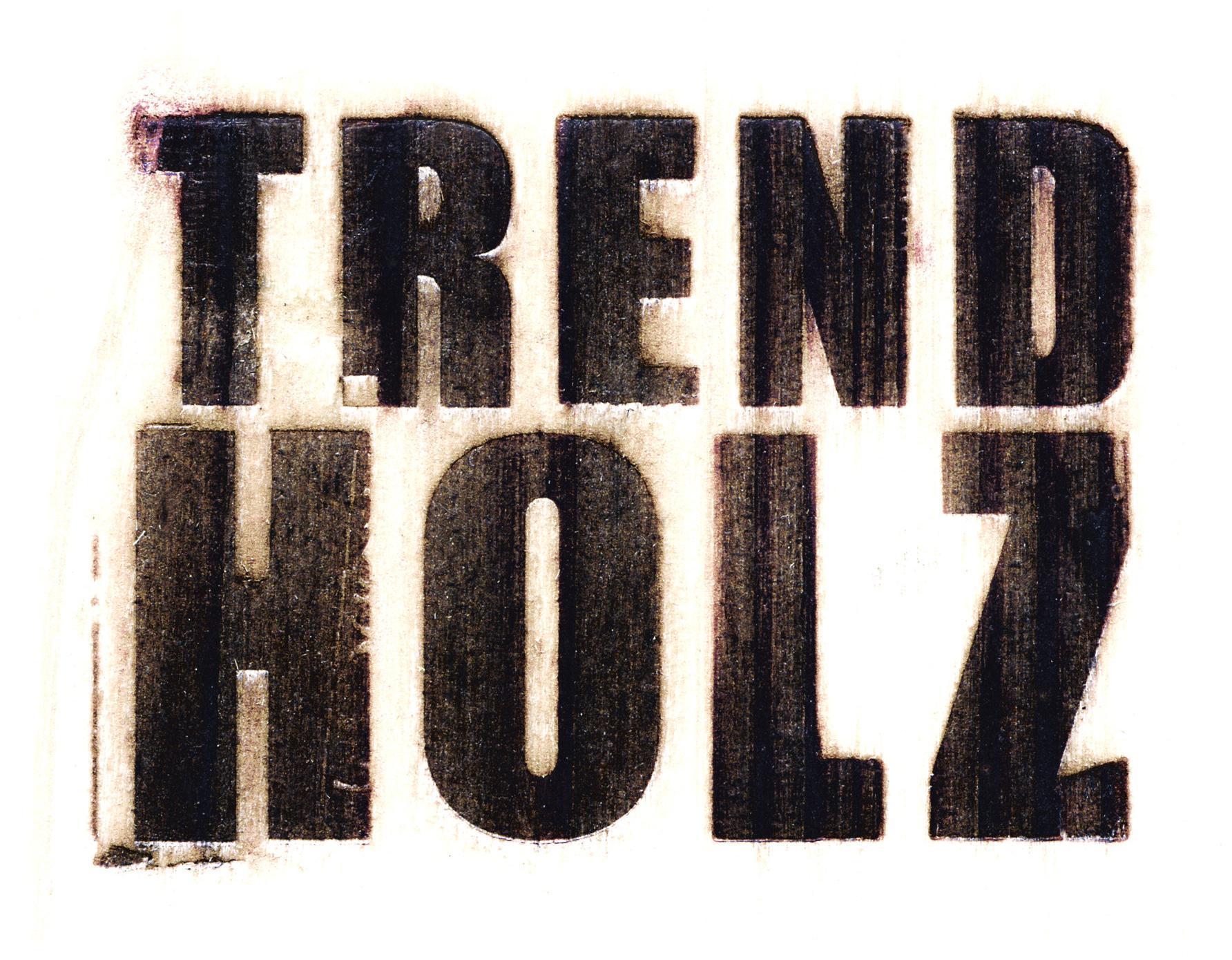 Logo TrendHolz Holzhandels-GmbH