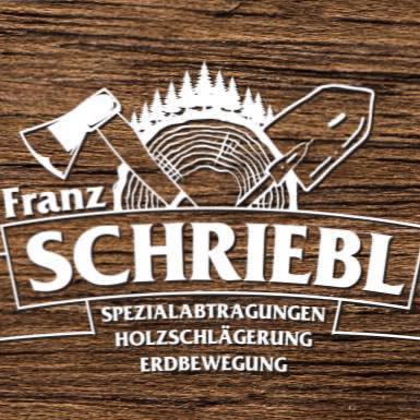 Logo Franz Schriebl