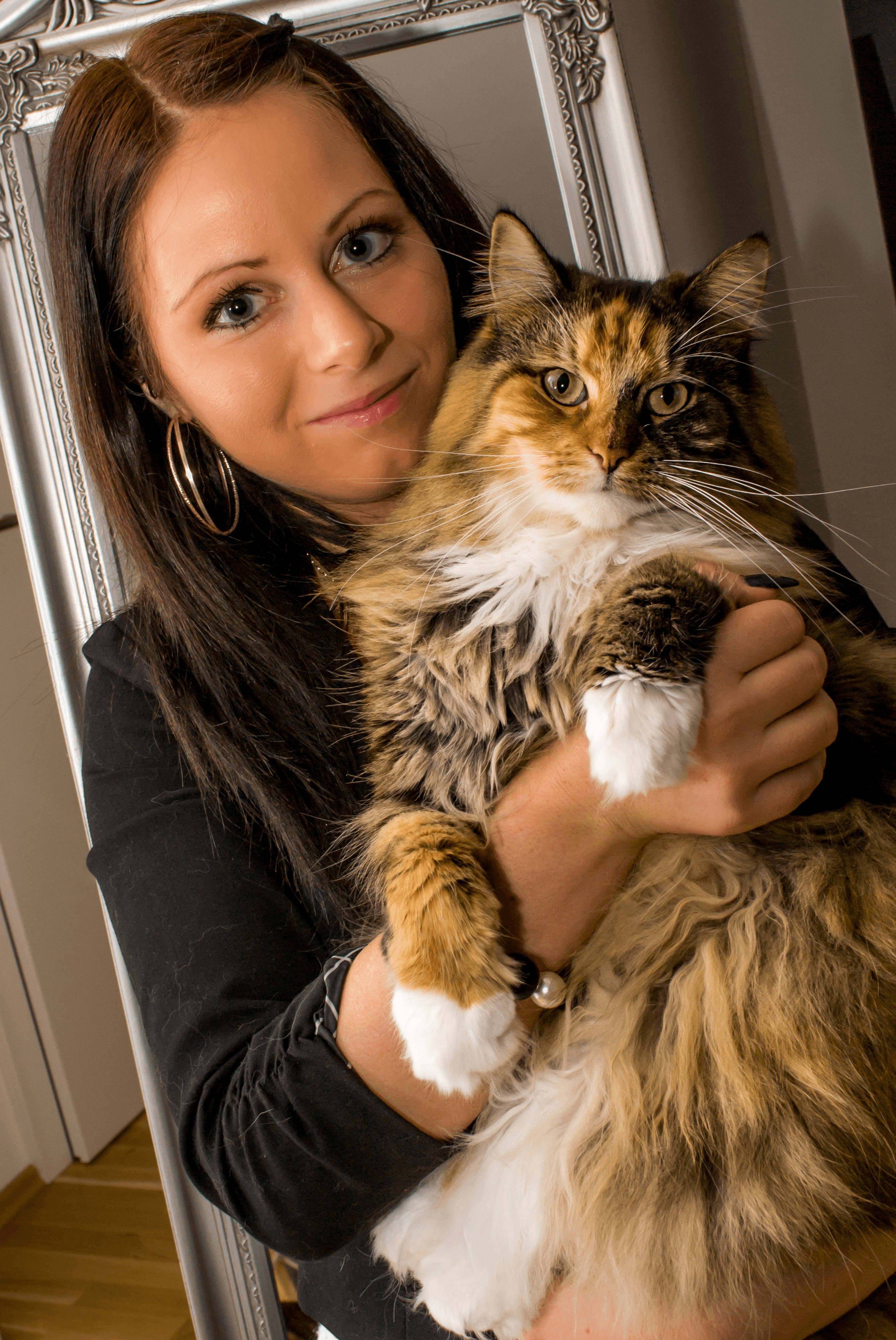 Vorschau - Foto 3 von Mobile Katzenbetreuung & Beratung Sonja Peitler-Güttinger