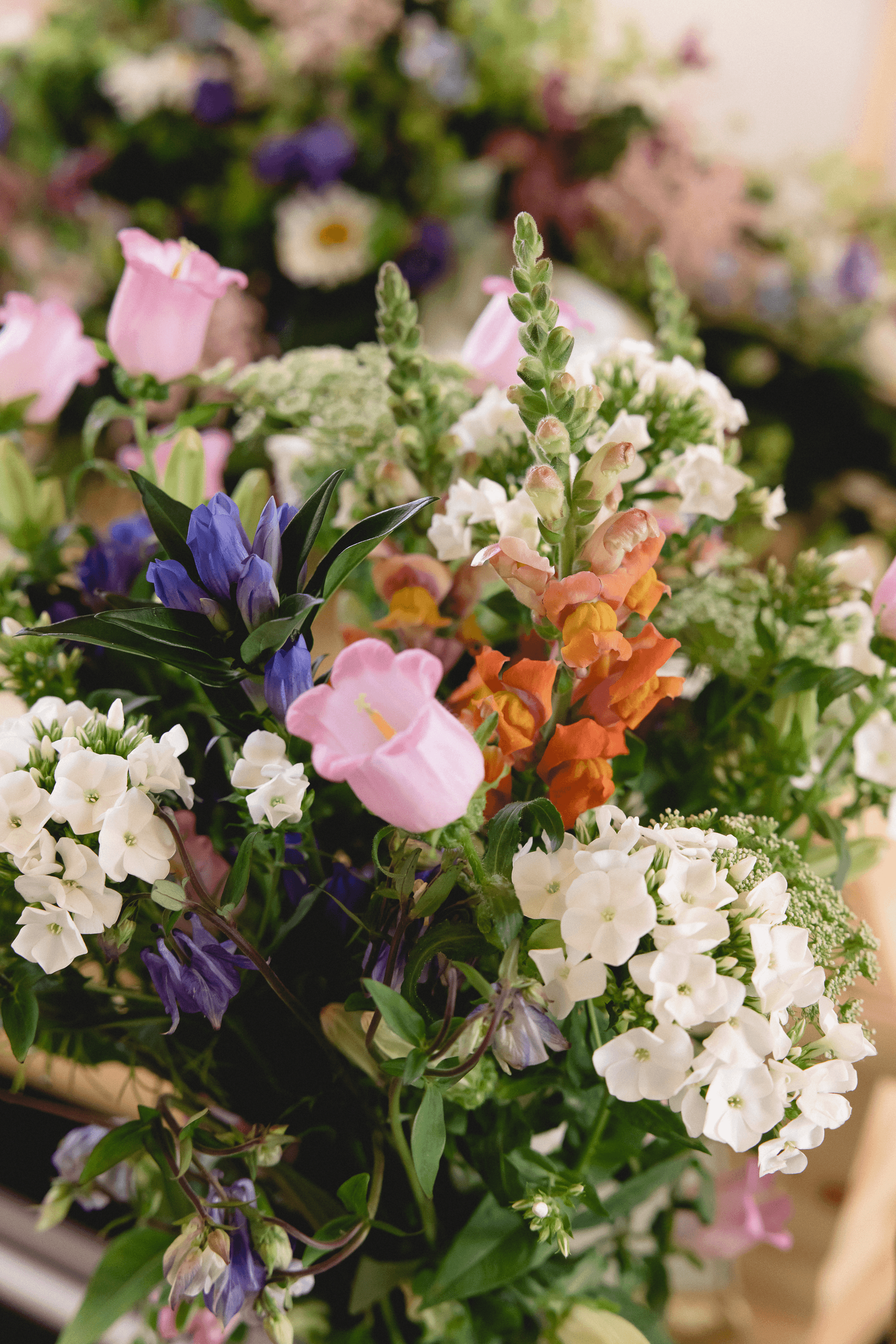 Vorschau - Foto 4 von Fuchsberger - Feines Blütenhandwerk