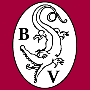 Logo Antiquariat Burgverlag BuchhandelsgesmbH