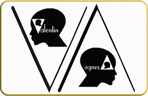 Logo SALON VALENTIN