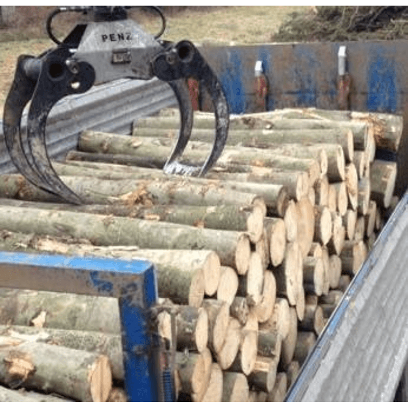 Produktbild von Forst- & Holzwirtschaft