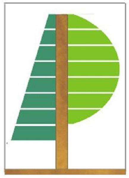Logo Ing. Schellmann Michael  - Baumpflege und Wurzelstockfräsung