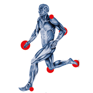Logo Hochholzer Thomas Dr.