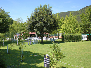 Logo Tennisanlage Rauhenstein