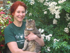 Logo Erste Wiener Katzenambulanz - Mag. med vet Ingrid Harant